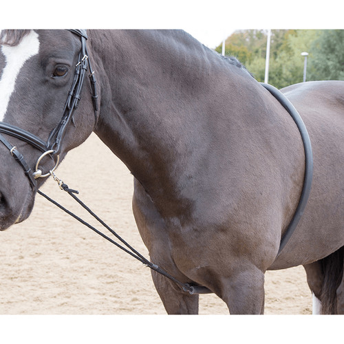 Shires soft lunging aid - shires,